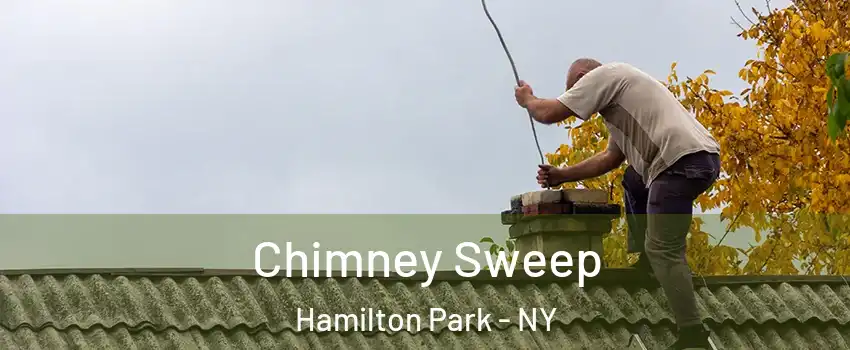 Chimney Sweep Hamilton Park - NY