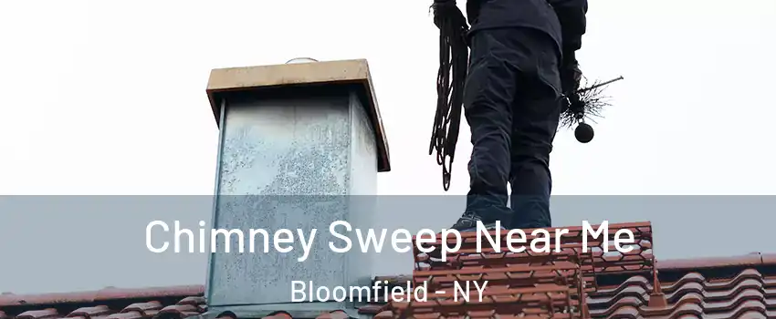 Chimney Sweep Near Me Bloomfield - NY