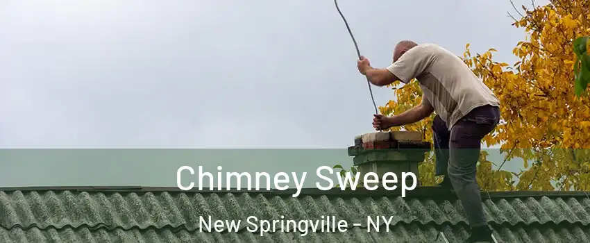 Chimney Sweep New Springville - NY