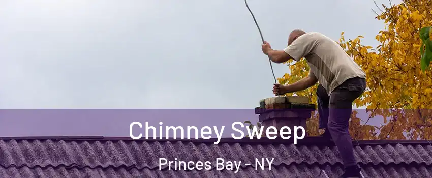 Chimney Sweep Princes Bay - NY