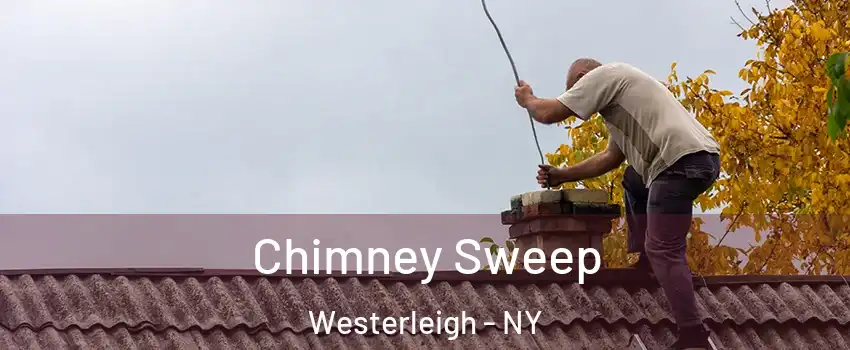 Chimney Sweep Westerleigh - NY