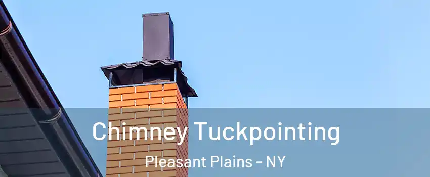 Chimney Tuckpointing Pleasant Plains - NY