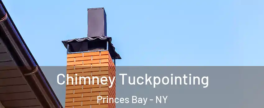 Chimney Tuckpointing Princes Bay - NY