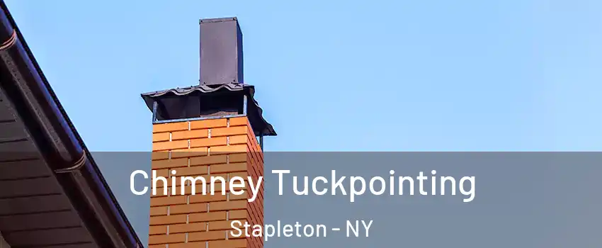 Chimney Tuckpointing Stapleton - NY