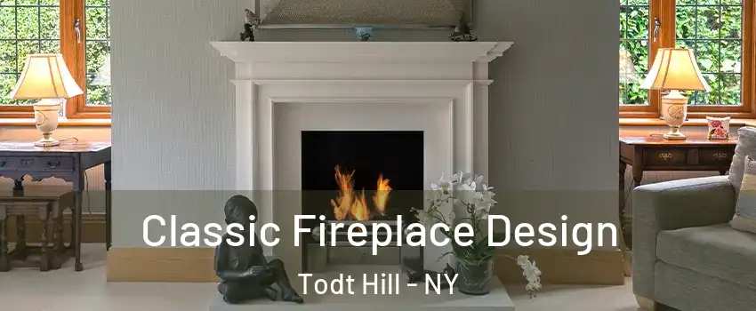 Classic Fireplace Design Todt Hill - NY