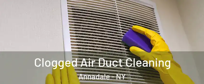 Clogged Air Duct Cleaning Annadale - NY