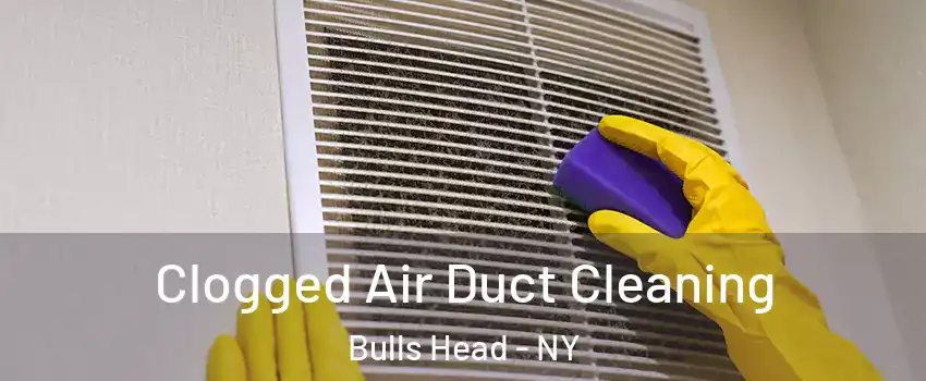 Clogged Air Duct Cleaning Bulls Head - NY