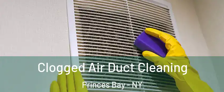 Clogged Air Duct Cleaning Princes Bay - NY