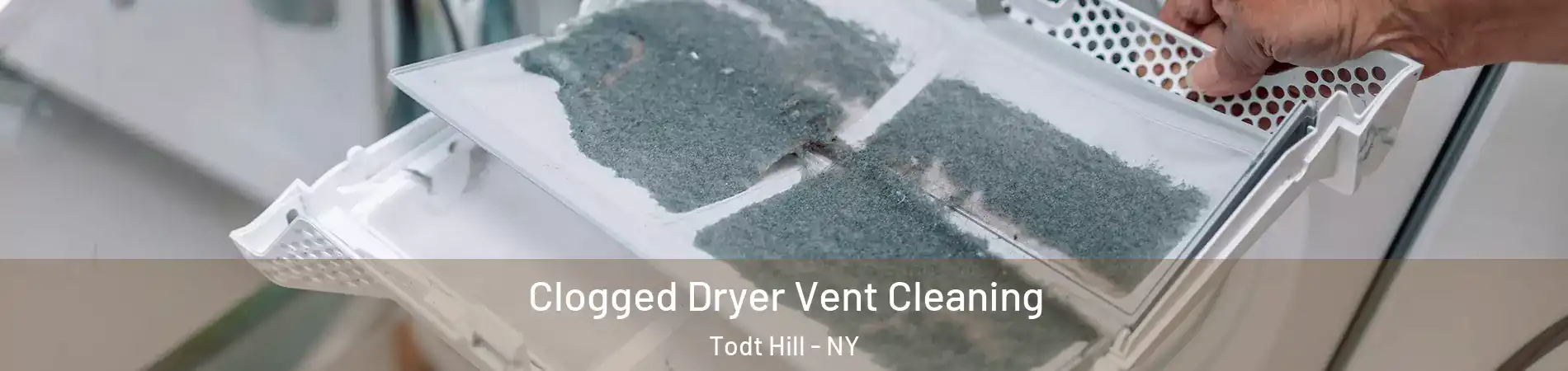 Clogged Dryer Vent Cleaning Todt Hill - NY