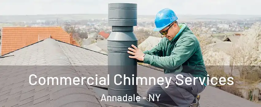 Commercial Chimney Services Annadale - NY