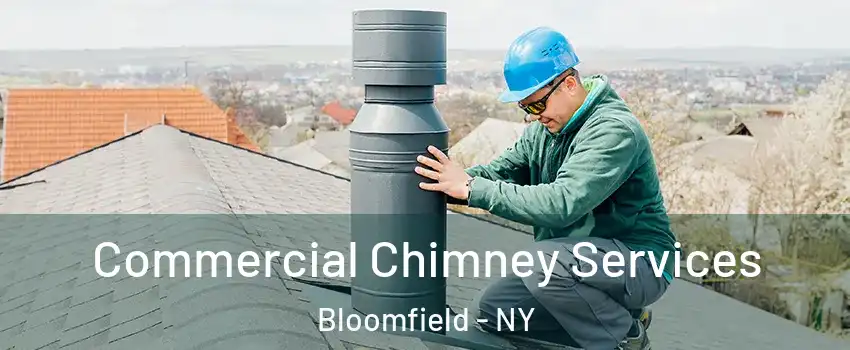 Commercial Chimney Services Bloomfield - NY