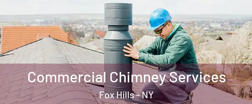 Commercial Chimney Services Fox Hills - NY