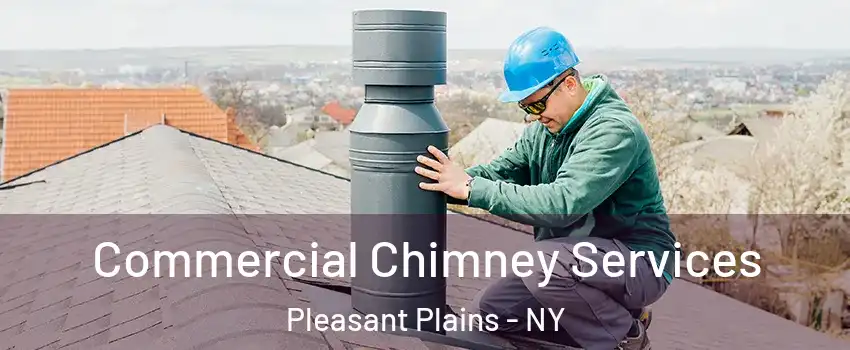 Commercial Chimney Services Pleasant Plains - NY