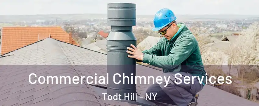 Commercial Chimney Services Todt Hill - NY