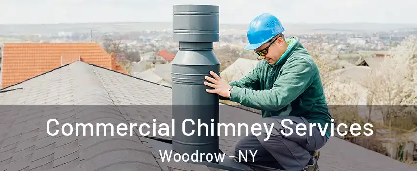 Commercial Chimney Services Woodrow - NY