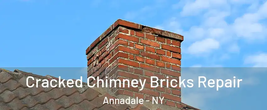 Cracked Chimney Bricks Repair Annadale - NY