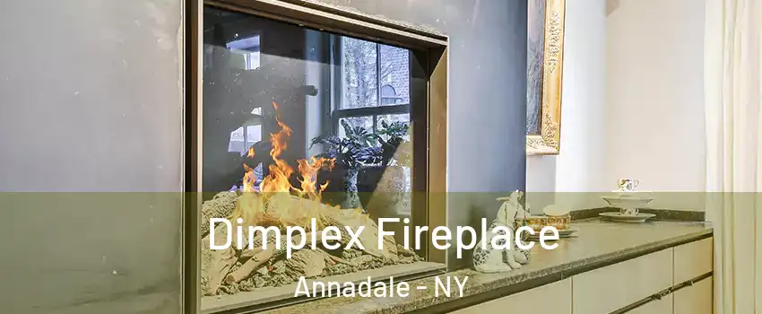 Dimplex Fireplace Annadale - NY