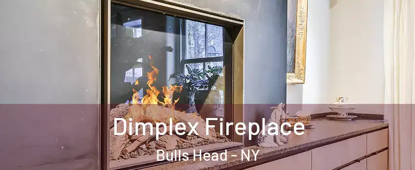 Dimplex Fireplace Bulls Head - NY