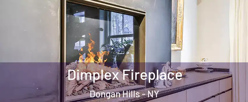 Dimplex Fireplace Dongan Hills - NY