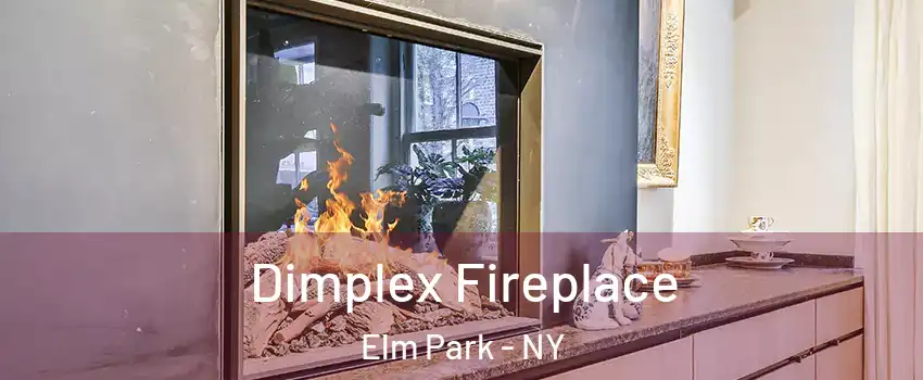 Dimplex Fireplace Elm Park - NY