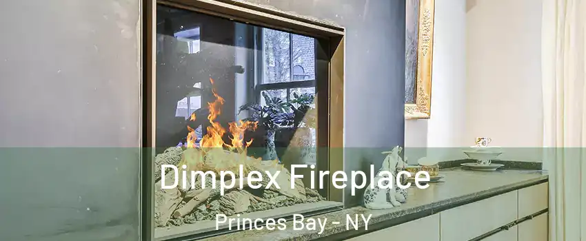 Dimplex Fireplace Princes Bay - NY