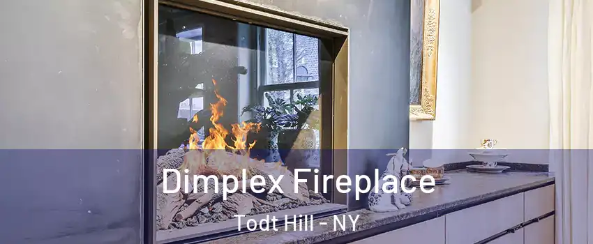 Dimplex Fireplace Todt Hill - NY