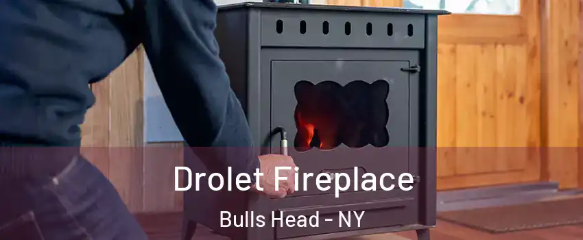 Drolet Fireplace Bulls Head - NY