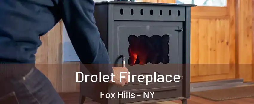 Drolet Fireplace Fox Hills - NY