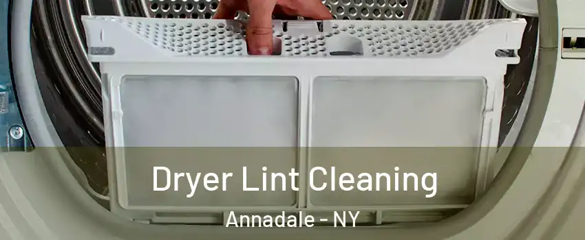 Dryer Lint Cleaning Annadale - NY