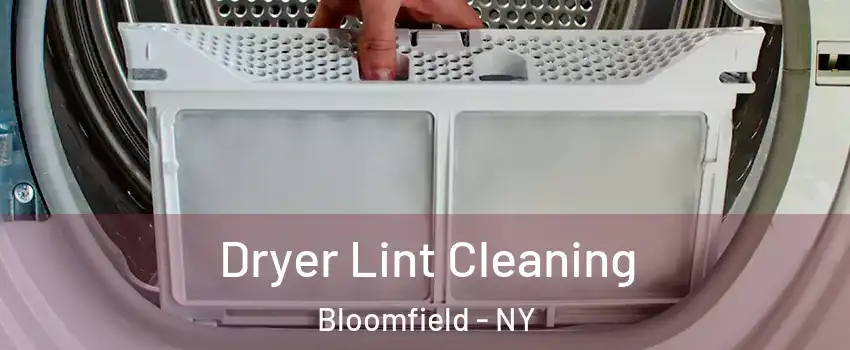 Dryer Lint Cleaning Bloomfield - NY