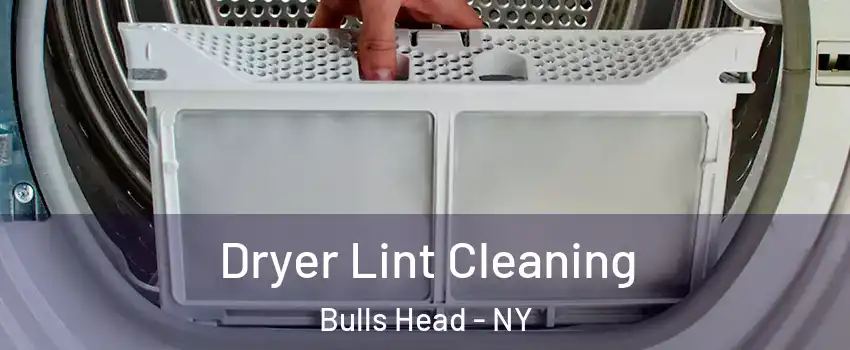 Dryer Lint Cleaning Bulls Head - NY