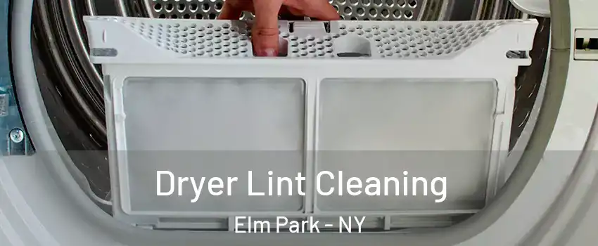 Dryer Lint Cleaning Elm Park - NY