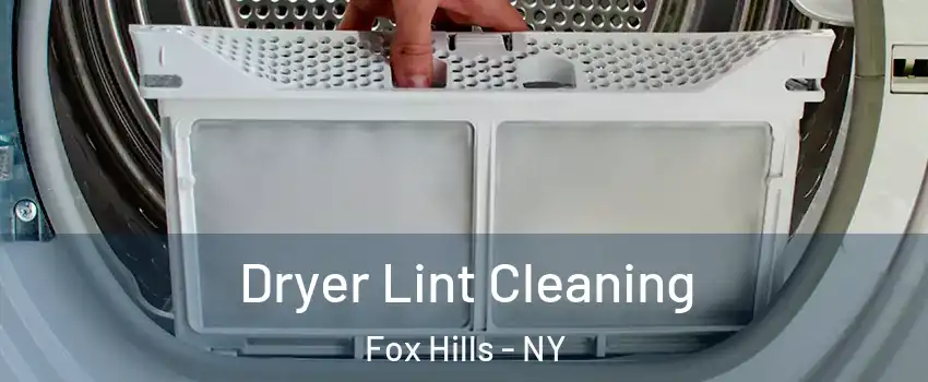 Dryer Lint Cleaning Fox Hills - NY