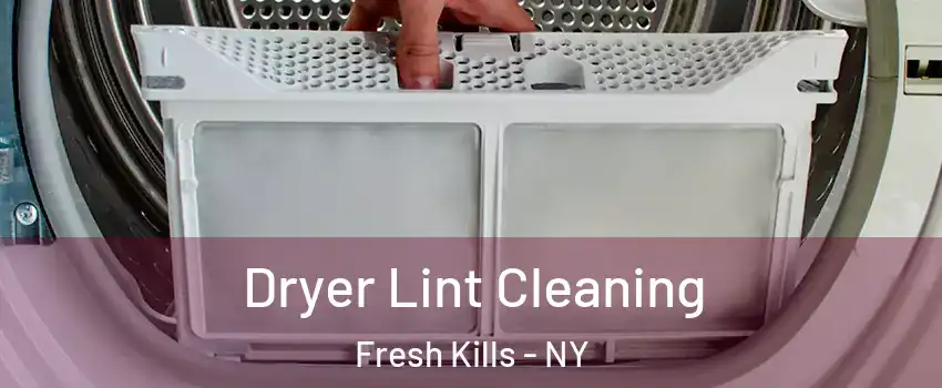 Dryer Lint Cleaning Fresh Kills - NY