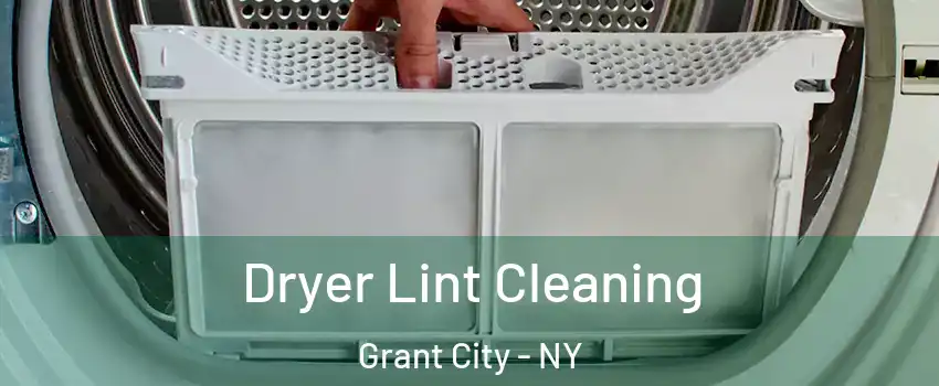 Dryer Lint Cleaning Grant City - NY