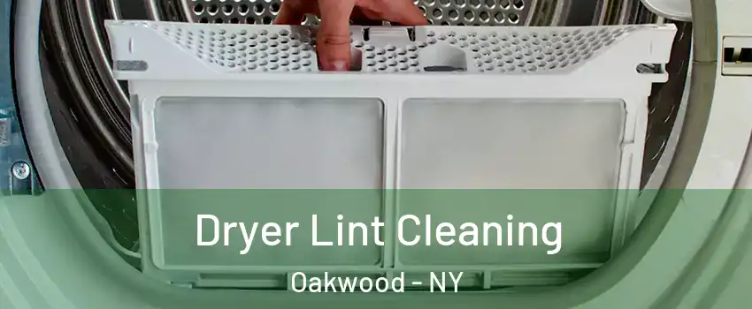 Dryer Lint Cleaning Oakwood - NY