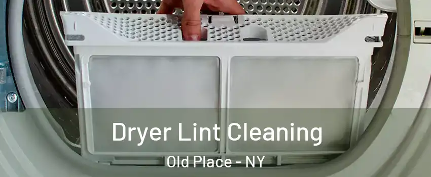 Dryer Lint Cleaning Old Place - NY