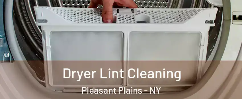 Dryer Lint Cleaning Pleasant Plains - NY