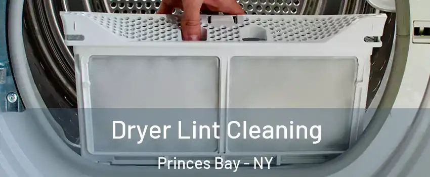 Dryer Lint Cleaning Princes Bay - NY