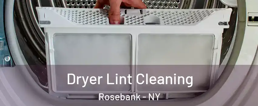 Dryer Lint Cleaning Rosebank - NY