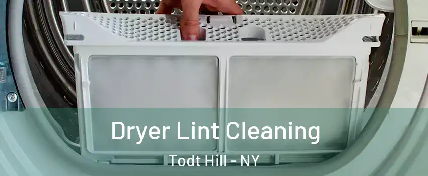 Dryer Lint Cleaning Todt Hill - NY