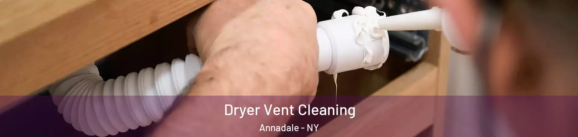 Dryer Vent Cleaning Annadale - NY