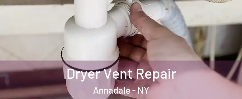 Dryer Vent Repair Annadale - NY