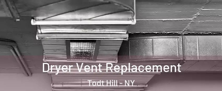 Dryer Vent Replacement Todt Hill - NY