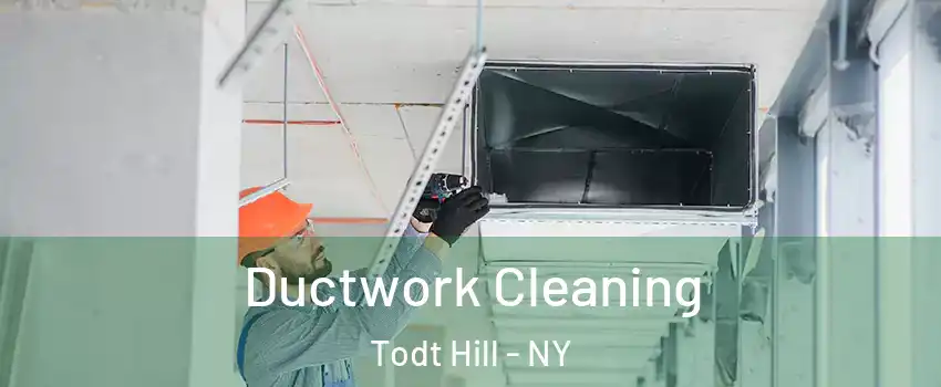 Ductwork Cleaning Todt Hill - NY