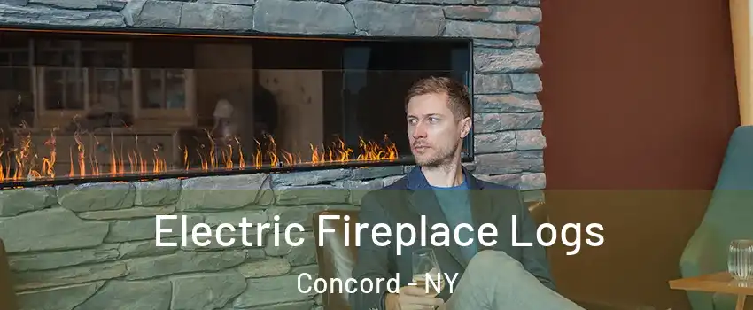 Electric Fireplace Logs Concord - NY