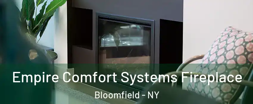 Empire Comfort Systems Fireplace Bloomfield - NY