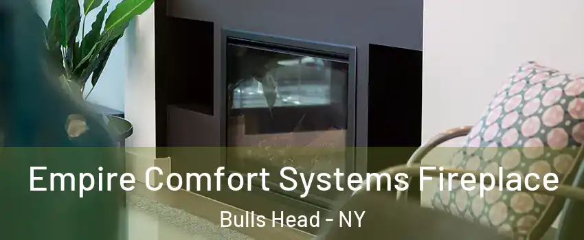 Empire Comfort Systems Fireplace Bulls Head - NY