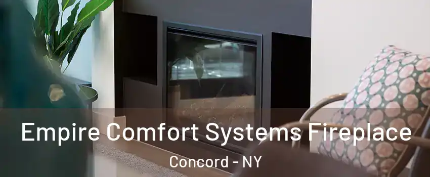 Empire Comfort Systems Fireplace Concord - NY