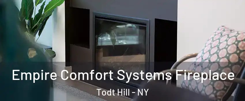 Empire Comfort Systems Fireplace Todt Hill - NY